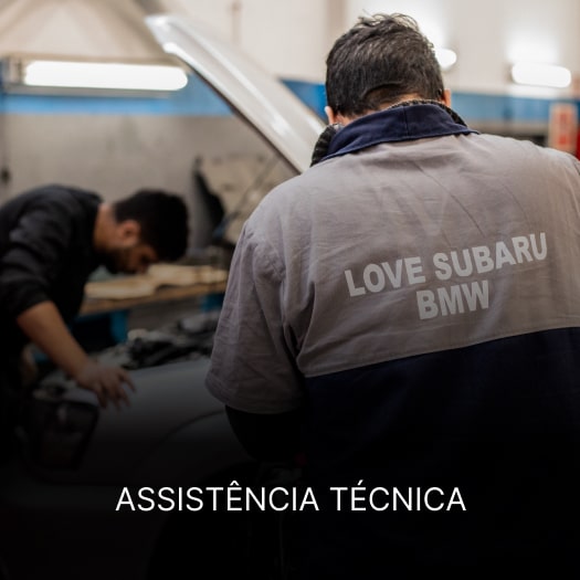 Assistência Técnica